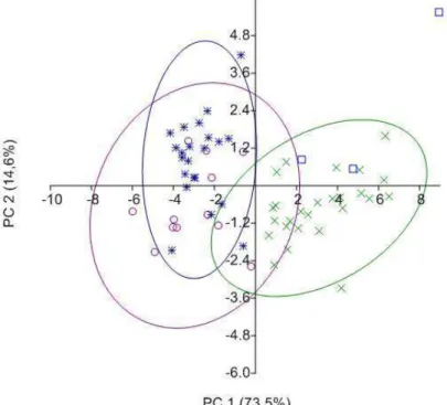 Figura 1. Análise de Componente Principal das variáveis morfométricas das populações do  complexo H