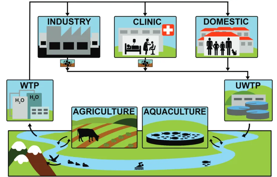 Figure 1 - Circulation of bacteria over urban and environmental water compartments. WTP , water treatment plant;  UWTP, urban  wastewater treatment plant