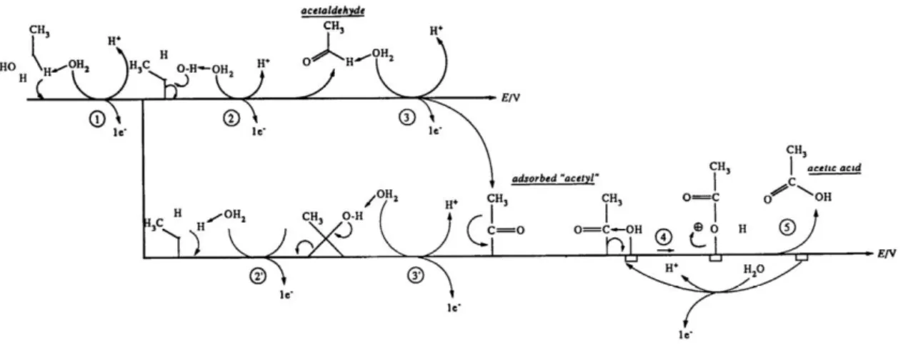 Figura 6 - Mecanismo proposto por HITMI et al. (1994) para a electrooxidação do etanol em catalisadores de Pt