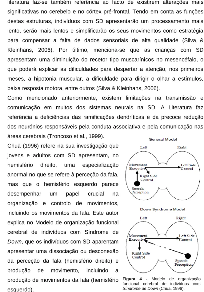 Figura  4  -  Modelo  de  organização  funcional  cerebral  de  indivíduos  com  Síndrome de Down (Chua, 1996)
