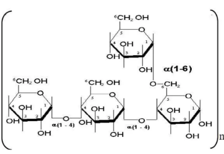 Figura 4 – Estrutura Química do amido. 