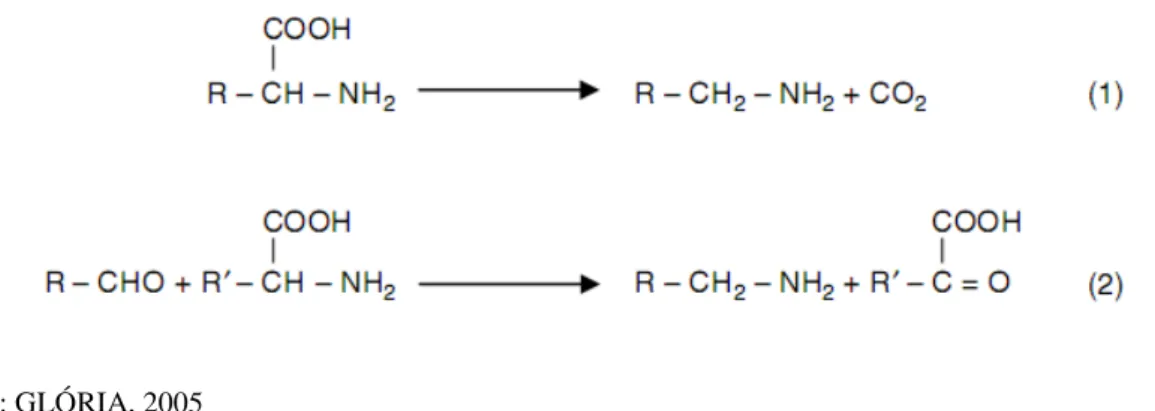 Figura 6  – Reação de formação de aminas por descarboxilação de aminoácidos (1), e por 
