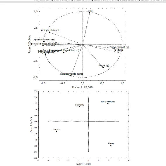 Figura 4.  Diagrama de dispersão por análise multivariada de componentes principais  de  atributos  físicos  e  físico-químicos  de  bananas  submetidas  à  diferentes  métodos  de  maturação