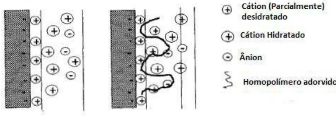 Figura 3.7. Mecanismo de adsorção do polímero nas partículas das argilas 