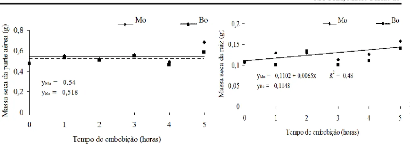 Figura 3. Massa seca da parte aérea (E), Massa seca da raiz (F) de plântulas oriundas  de  sementes  de  feijão  tratadas  com  micronutrientes  molibdênio  (Mo)  e  boro  (B) em diferentes tempos de embebição