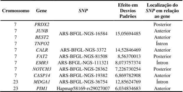 Tabela 1 - Localização e efeitos estimados dos SNPs mais próximos aos 11 genes candidatos