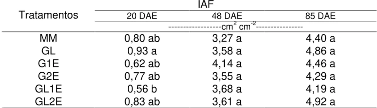 Tabela  4.  Médias  de  índice  de  área  foliar  (cm 2   de  folha  cm -2   de  solo)  das  plantas de milho em consórcio com guandu-anão, aos 20, 48 e 85 dias após a  emergência (DAE) da cultura