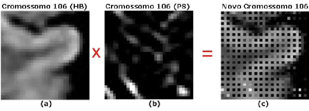 Figura 6: Func¸˜ao de cruzamento.