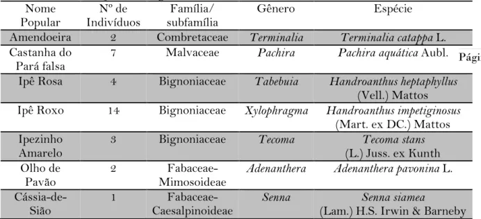 Tabela  7.  Espécies  encontradas  do  canteiro  6  (C6)  da  Avenida  Deputada  Ceci Cunha,  Arapiraca-  AL,  com  respectivos  nomes  populares,  número  de  indivíduos  e  família, Arapiraca, Alagoas