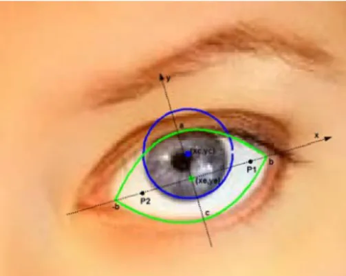 Figura 8 – Imagem representativa do emparelhamento dinâmico do modelo protótipo  deformável do olho numa imagem (retirado de (Carvalho &amp; Tavares, 2007a))