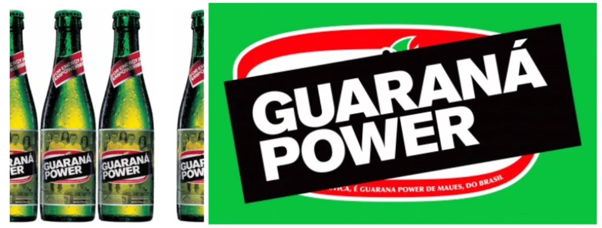 Figura 6: Logo e imagens do projeto Guaraná Power criado pelo grupo dinamarquês Superflex,   em parceria com produtores amazonenses