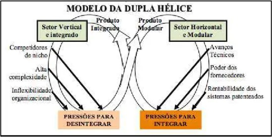 Figura 2.3: Modelo da hélice dupla  Fonte: adaptado de Fine (1999) 
