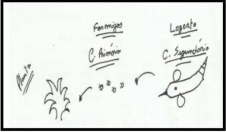 Figura 3  – Esquema/diagrama A5 com resposta inadequada do conceito de cadeia  alimentar 