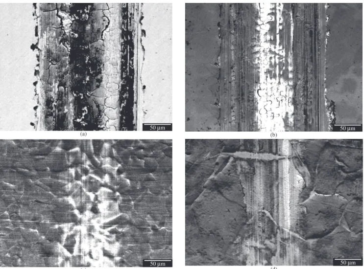 Figure 6 shows the SEM images of the tracks, at half length,  produced by the ball sliding during tribological tests, for both steels 