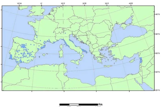 Fig. 3 - The distribution map of Pinus pinea L. throughout the Mediterranean Basin and adjacent  zones (from Euforgen.org)