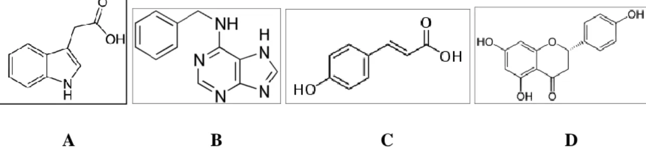Fig. 9 - Chemical structures of signalling compounds secreted into the rhizosphere by the plant  host