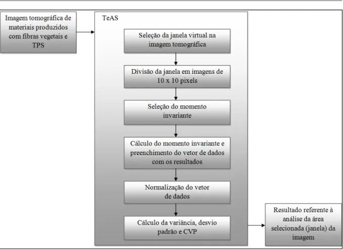 Figura 25 - Diagrama de blocos II - Processo de análise realizado pelo TeAS 