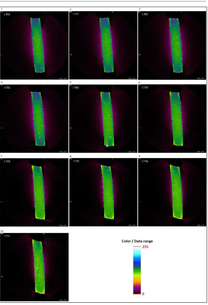 Figura 34 - Imagens tomográficas da amostra de Acurí 5% utilizadas para análise 