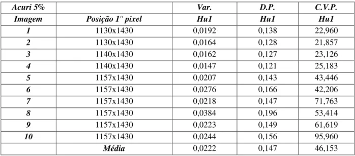 Tabela 11 - Resultado da análise da amostra com 5% de Acurí 
