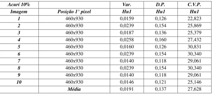 Tabela 12 - Resultado da análise da amostra com 10% de Acurí 