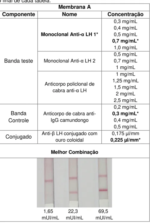Tabela 2 - Combinações de anticorpos e conjugado testadas com as membranas A,  B,  C  e  D
