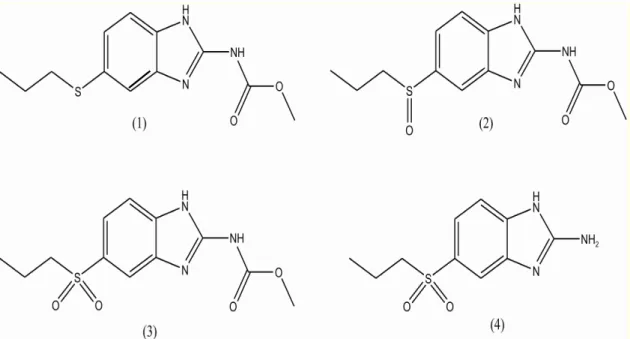 Figura  1.3  Estrutura  química  do  albendazol  e  seus  metabólitos.  (1)  Sulfeto  de  albendazol  (ABZ);  (2)  Sulfóxido  de  albendazol  (ABZ-SO);  (3)  albendazol  sulfona  (ABZ-SO2) e (4) albendazol 2-aminosulfona (ABZ-NH2-SO2)