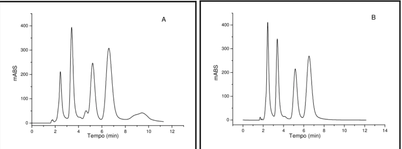 Figura 4.5 Cromatograma da extração do ABZ e metabólitos em fração microssomal  por SPE (A) e análise dos compostos em solvente (B ).
