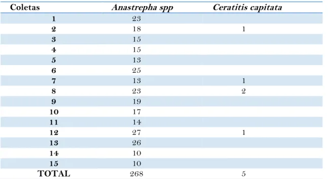 Tabela 2: Proporção de moscas-da-fruta Anastrepha ssp. e Ceratitis capitata. 