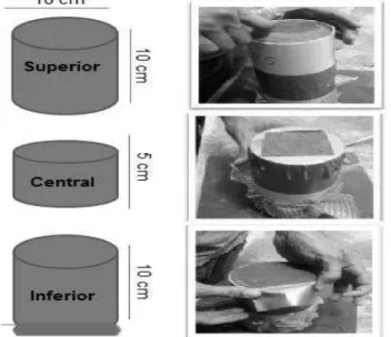 FIGURA 1. Ilustração esquemática da unidade experimental utilizada no experimento.  FIGURE 1