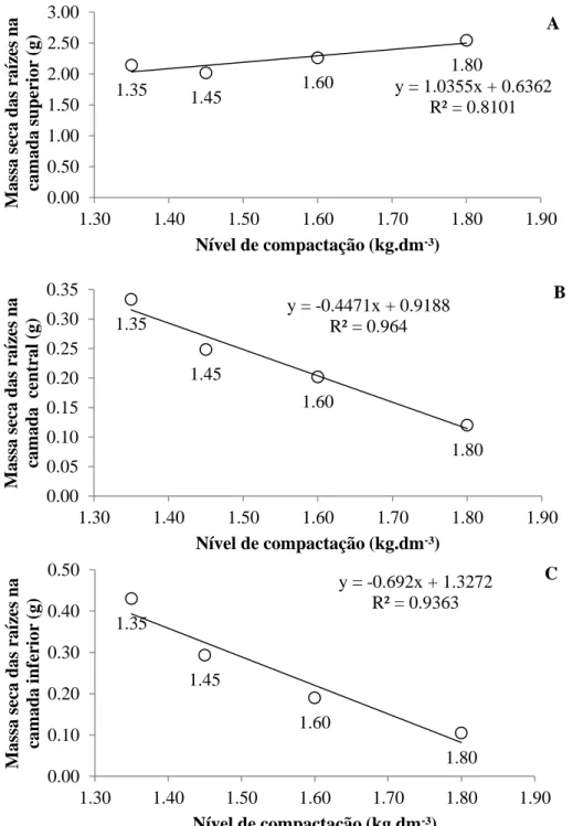 FIGURA 3. Massa seca de raízes de Erytrina velutina na camada superior (A), central (B) e inferior (C) em  função de diferentes níveis de compactação do solo