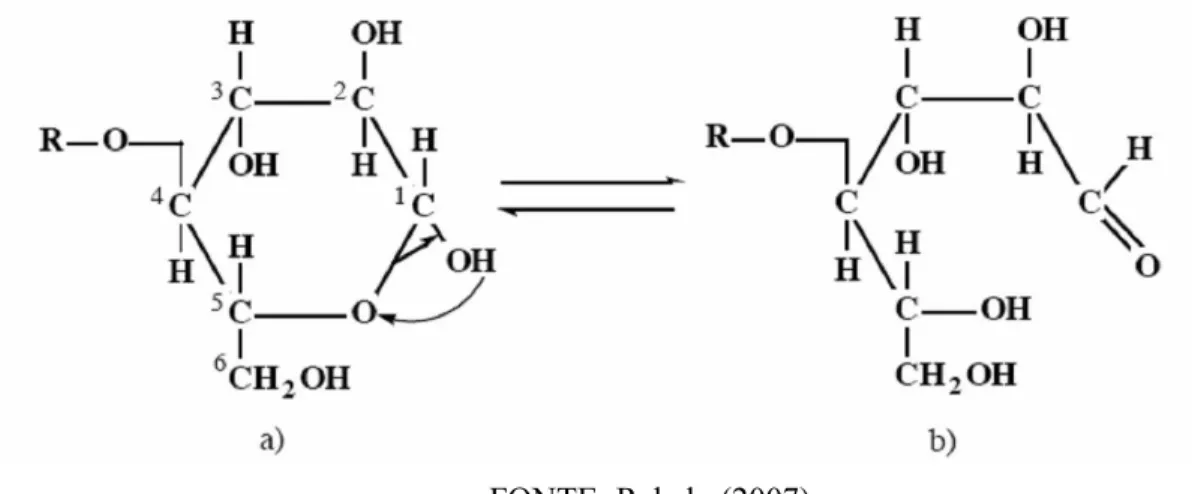 Figura 1.10 – Representação do hemiacetal (a) e do aldeído (b) do grupo terminal redutor