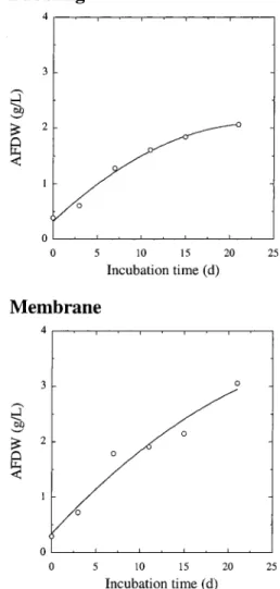 Figure 6. Evolution of ash-free dry weight (AFDW) during the experimental growth of Nannochloropsis sp