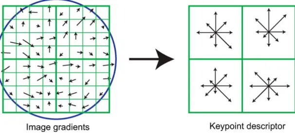 Figure 7. A keypoint descriptor is created by first computing the gradient magnitude and orientation at each image sample point in a region around the keypoint location, as shown on the left