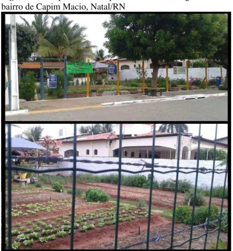 Figura 11: Propriedade em que é desenvolvida agricultura no  bairro de Capim Macio, Natal/RN 
