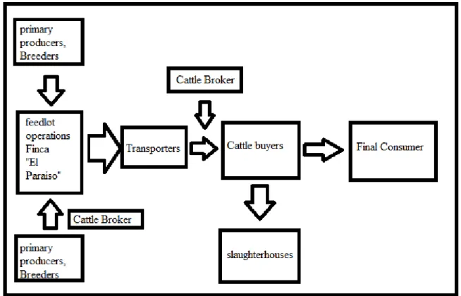 Figure  5 A simple description of the Supply Chain  Source: Author 