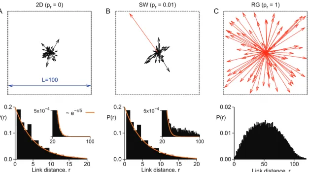 Figure 1. Network topology. Examples of synaptic reach (top) as well as the link size distribution P(r) (bottom) for the: A) two-dimensional network; B) small-world network; C) random network