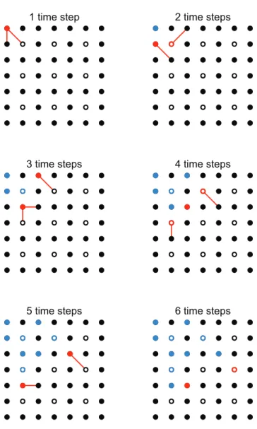 Figure 3. Avalanche propagation. Example of one avalanche propagating in an undersampled 7|7 network for 6 time steps