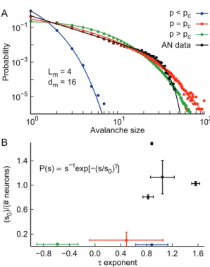 Figure 6. Size distributions for anesthetized animals and undersampled models. A) Avalanche size distributions for the model (subcritical blue, critical red and supercritical green) and an  anesthe-tized rat (black)