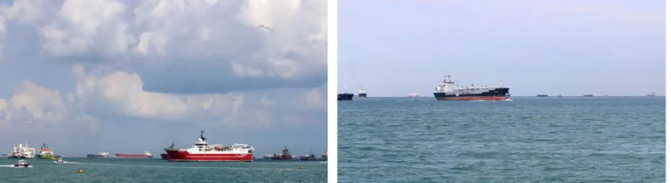 Figure 3.8: Sample frames from the Oh-Shore videos in the SMD.