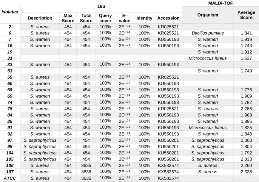 Table 3.1.2 - Sequencing and MALDI-TOF results for the bacterial isolates included in the present study