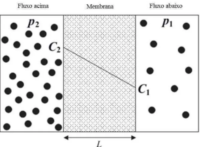 Figura 3.7: Membrana de separação de gás com um gradiente de concentração  constante transversal da membrana L