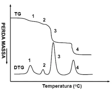 Figura 10. Exemplos de curvas TG e DTG.  . 