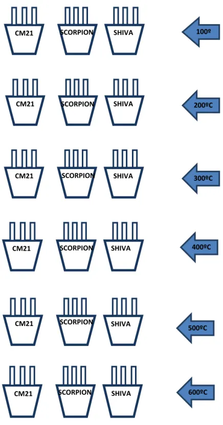 Figure 8: Muffle furnace method – Schematic representation of the samples analyzed.