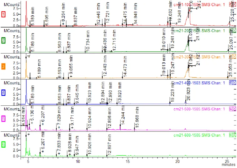 Figure 21: CM21 herbal incense chromatograms analysis of the samples submitted to 100, 200,  300, 400, 500 and 600 degrees Celsius in the muffle furnace