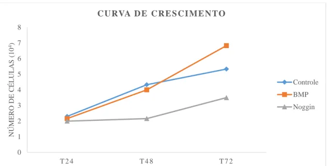 Gráfico 1. Curva de crescimento das células SCC25 durante 72 horas de experimento para os  diferentes grupos estudados