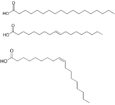Illustration 4. Example of fatty acids classification using the delta nomenclature, from top to bottom: 