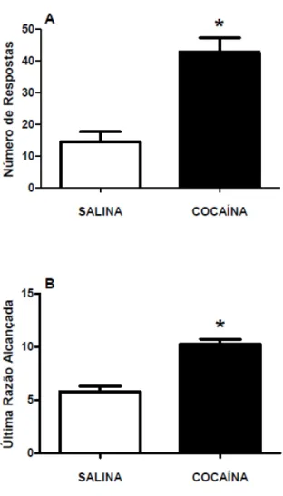 Figura  5.19  -  Média  do  número  de  respostas  (A)  e  da  última  razão  alcançada  (B)  nas  sessões de razão progressiva em animais pré-tratados com cocaína ou salina (n= 8 animais  por grupo)