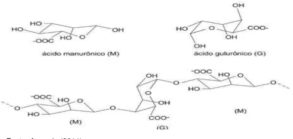 Figura 18 - Estruturas representativas dos ácidos algínicos e um segmento de cadeia. 