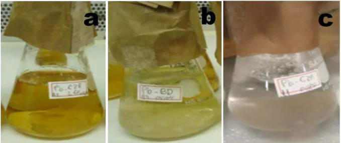 FIGURA 3.6 - Frascos de Erlenmeyer contendo  o  fungo Penicilium brasiliano em diferentes  meios: a)  meio CZA-Lev; b) meio BD;  c)  meio CZA