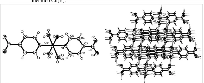 Figura  37  -  Representação  Ortep  do  complexo  formado  entre  o  ligante  INA  e  o  cátion 
